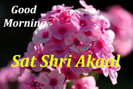  Good Morning Sat Shri Akaal 
