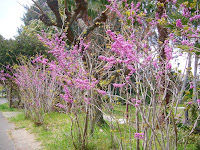 花博記念公園鶴見緑地