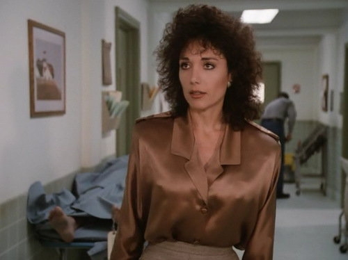 Ladies In Satin Blouses Stepfanie Kramer Brown Satin Blouse