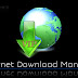 Idm-VIP (Internet Download Manager)