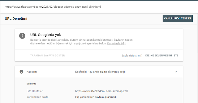 YENİ AÇILAN SİTE NE ZAMAN İNDEXLENİR