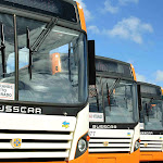 Greve de �nibus em S�o Lu�s