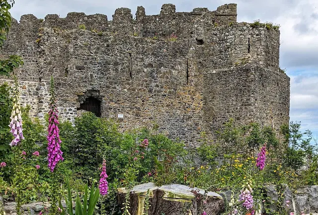 King John's Castle in Carlingford Ireland