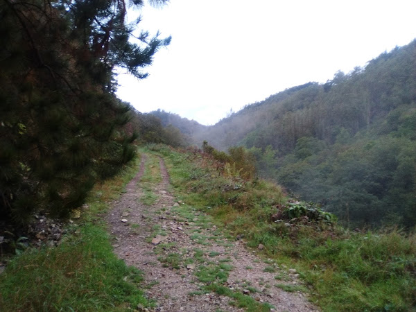Foto del sendero hacia el alto de La Espina en el Camino Primitivo 