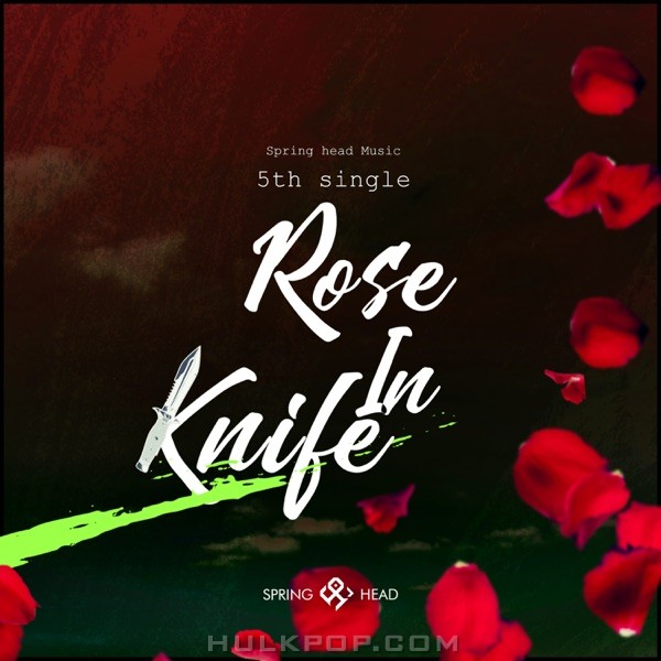 SpringHead – Rose In Knife – Single