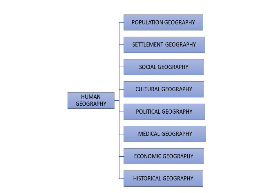 MAIN BRANCHES OF GEOGRAPHY Geographical information