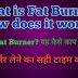 What is Fat Burner? how does it work?