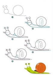 easy animal drawings step simple beginners drawing animals