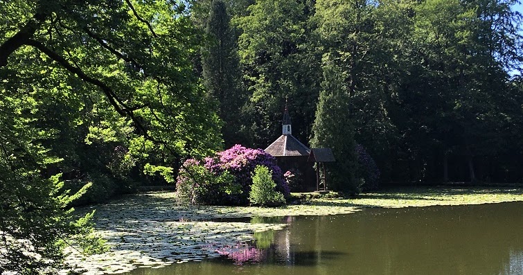 Engelinchen Odenwald Fruchte