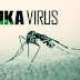 Virus Zika có khả năng biến thể nguy hiểm như thế nào?