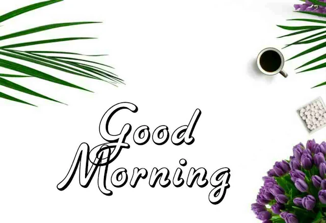 Good Morning flowers Image hd download and share with your friends and family members on facebook and whatsapp for wish very good morning