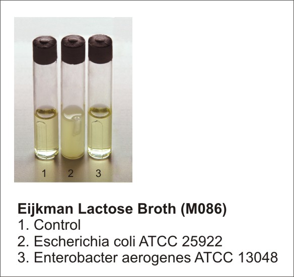 Eijkman Test - Microbiology Laboratory Turkey