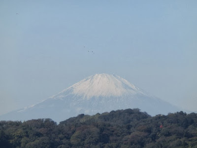 安国論寺からの富士