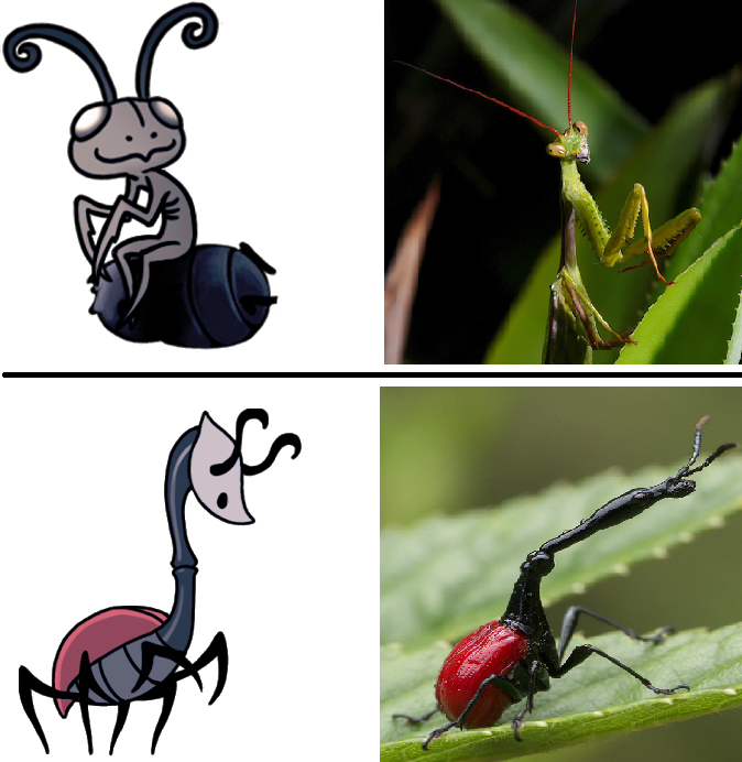 Jogo Insect Jogos com Insetos #01