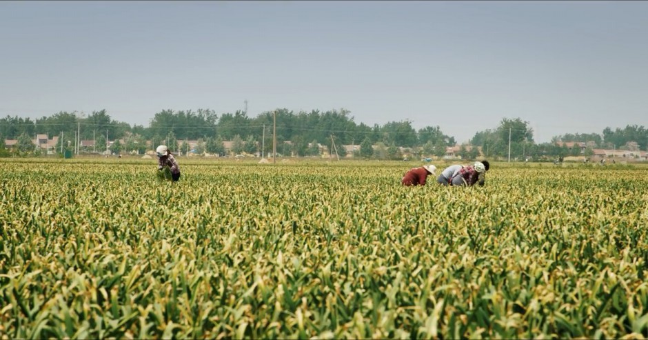 ROTTEN - 1ª TEMPORADA COMPLETA (DUBLADO/720P) – 2018/2019 FormatFactoryRotten.2018.S01E03.PL.720p.WEBRip.x264-Josu%25C3%25A9F..mkv_snapshot_08.26_%255B2020.10.18_15.36.22%255D