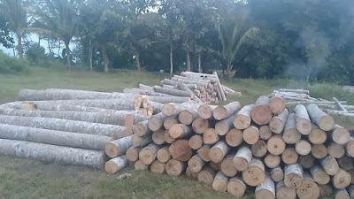 Gambar Proses Pengolahan Kayu
