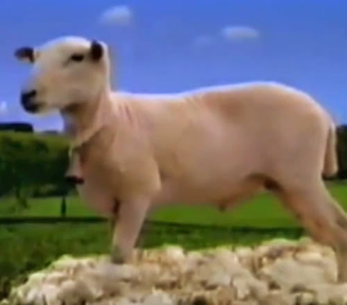 Propaganda da Aspirina C, onde uma ovelha é tosada e sofre com as consequências do inverno.