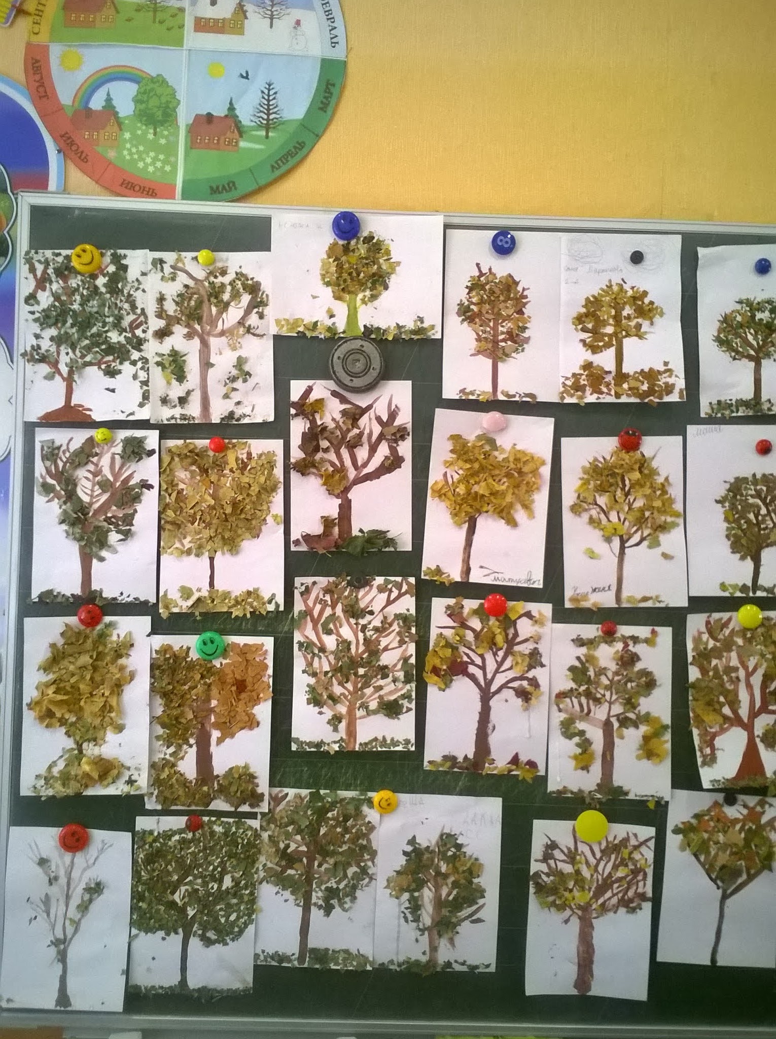 Протас Анжелика Анатольевна