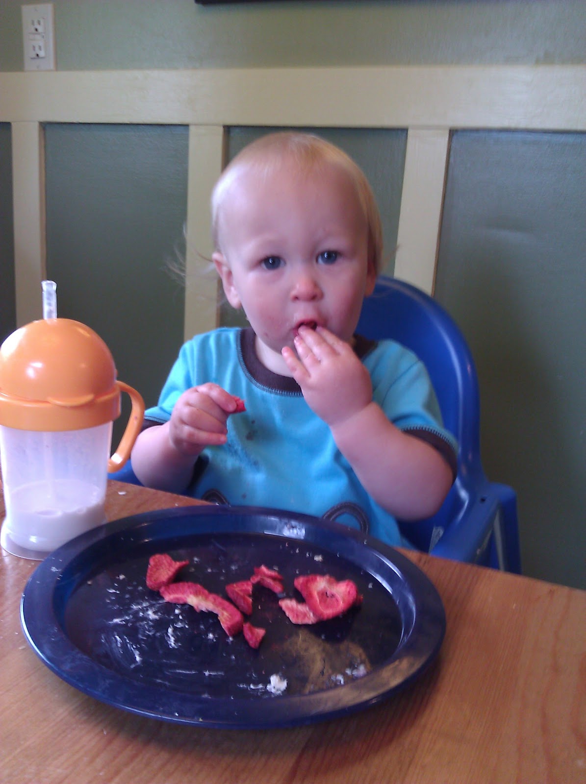 DairyFree at Daycare