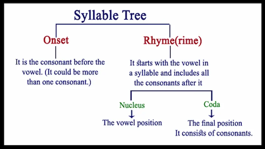 اقسام ( syllables ) المقاطع الصوتية
