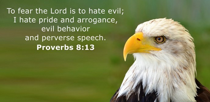 To fear the Lord is to hate evil; I hate pride and arrogance, evil behavior and perverse speech.