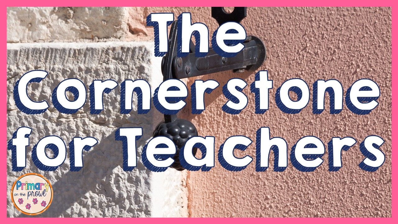 primary-on-the-prowl