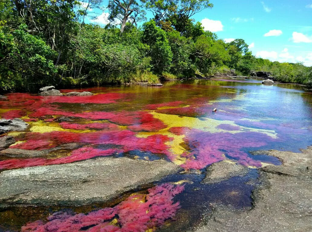 Цветные реки