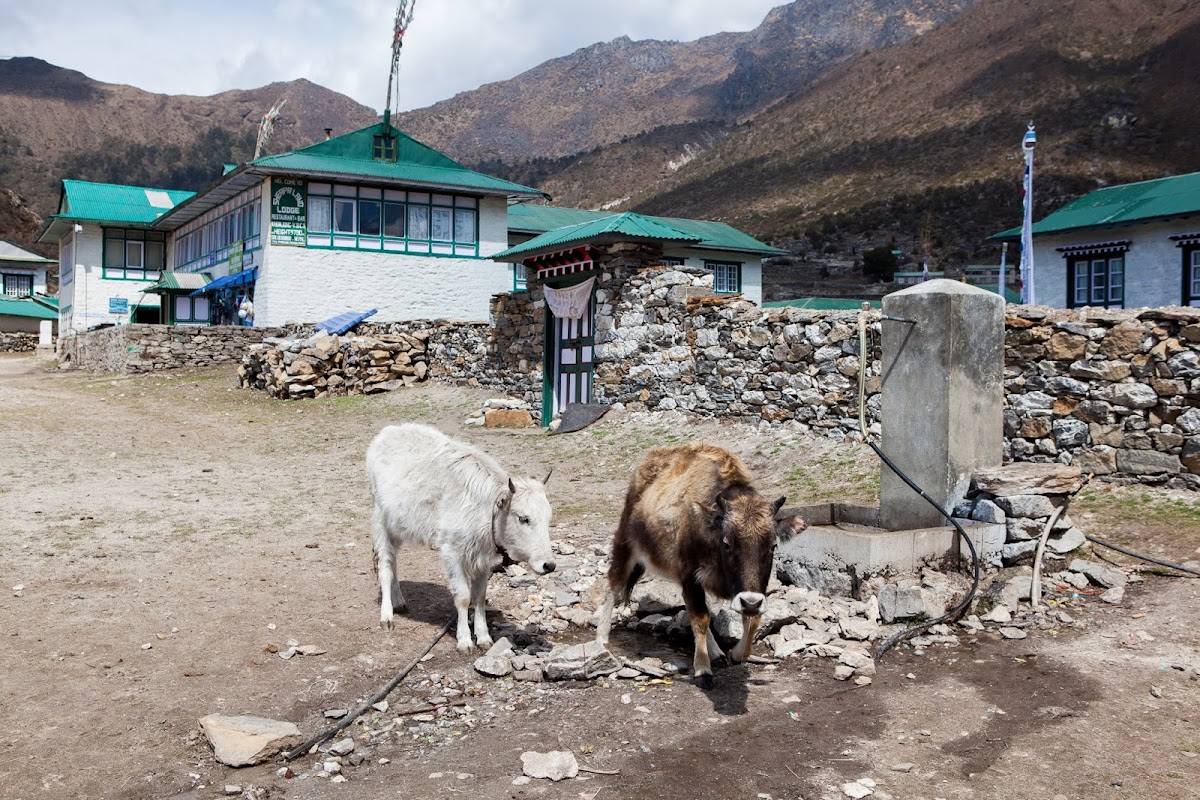 Three Passes trek. апрель 2019. Три перевала - это слишком много или всё-таки слишком мало?