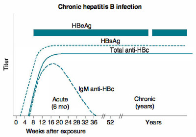 Chronic hepatitis B infection