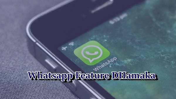 WhatsApp का नया गैलरी feature अब Hide and Unhide कर सकेंगे WhatsApp का नया गैलरी feature अब Hide and Unhide कर सकेंगे
