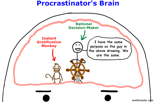 Unlocking the Allure of Procrastinators: Unraveling the Mysterious World of Delayed Action插图1