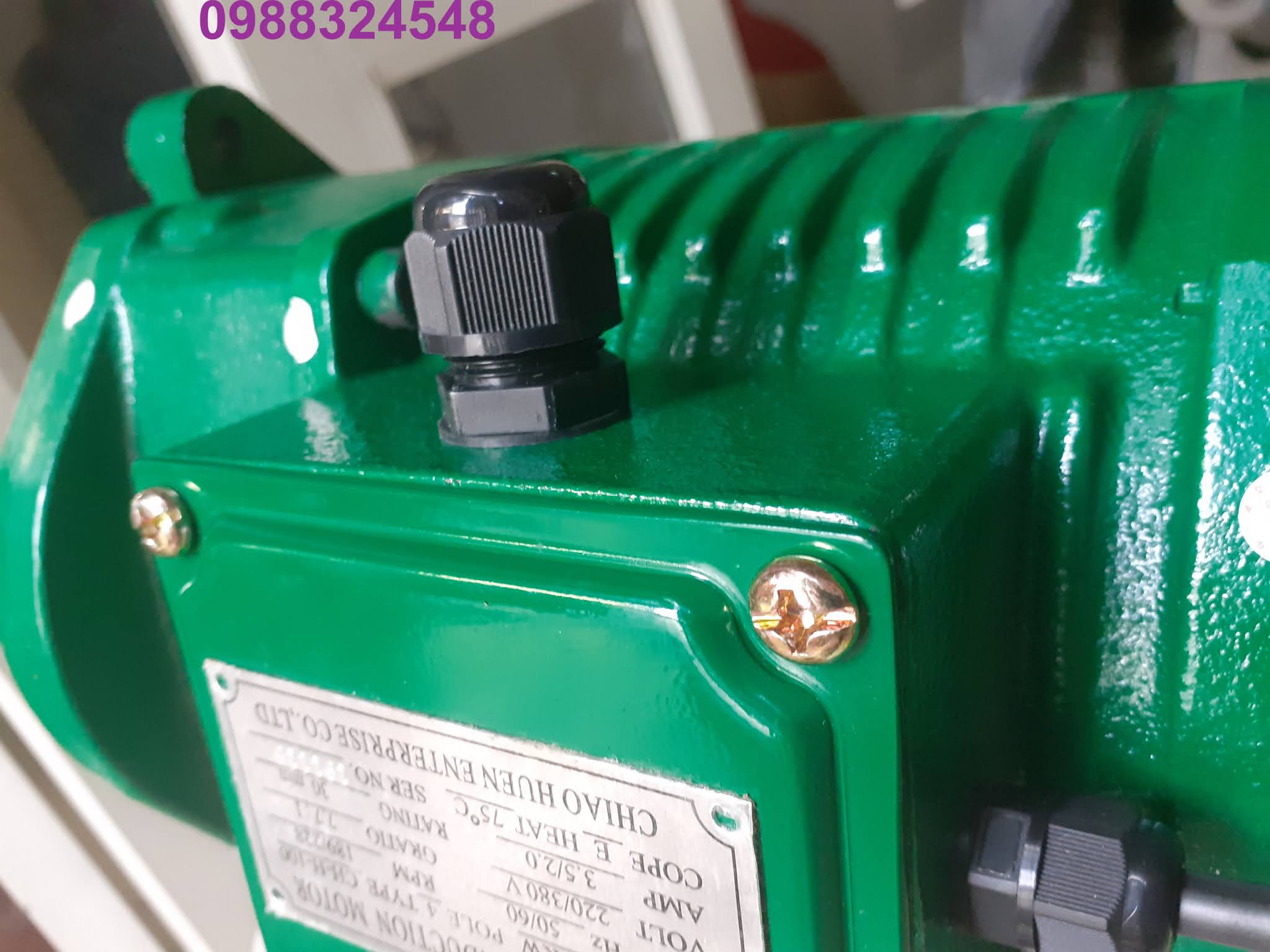 Motor dầm biên ITS CH-H-100 0.75 Kw x 4P