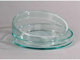 Los seres vivos: Materiales que usamos en el primer trabajo de laboratorio