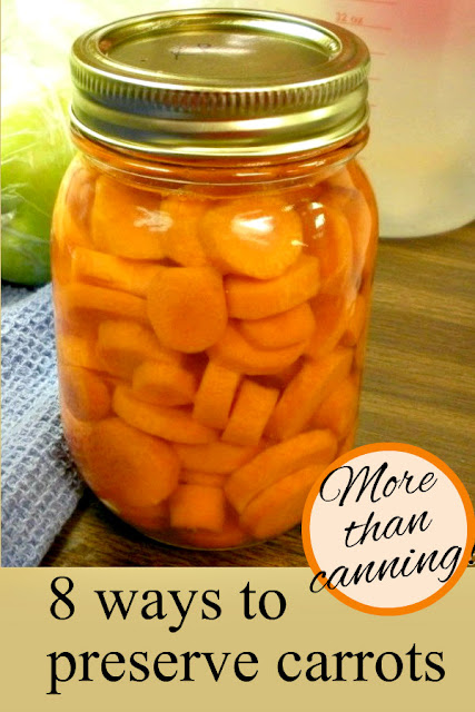 More than canning: 8 ways to preserve carrots and my favorite recipes too!