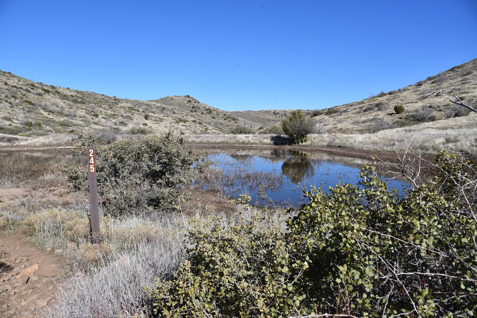Arizona Hiking RESTORATION OF MARICOPA TRAIL SEGMENT 20 COMPLETE