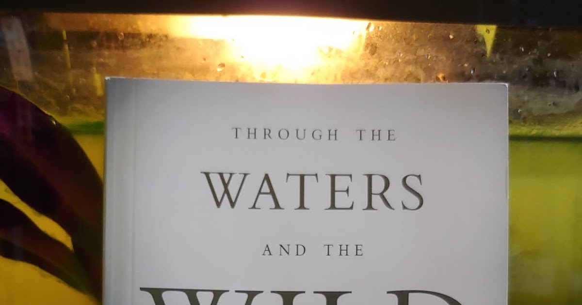 A New Day Book Review Through the Waters and the Wild