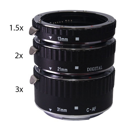 Helping you take better photos Macro Photography using Extension Tubes