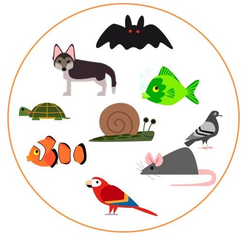 ¡Entremos en el gran mundo de los Conjuntos!: APRENDE, JUEGA,Y