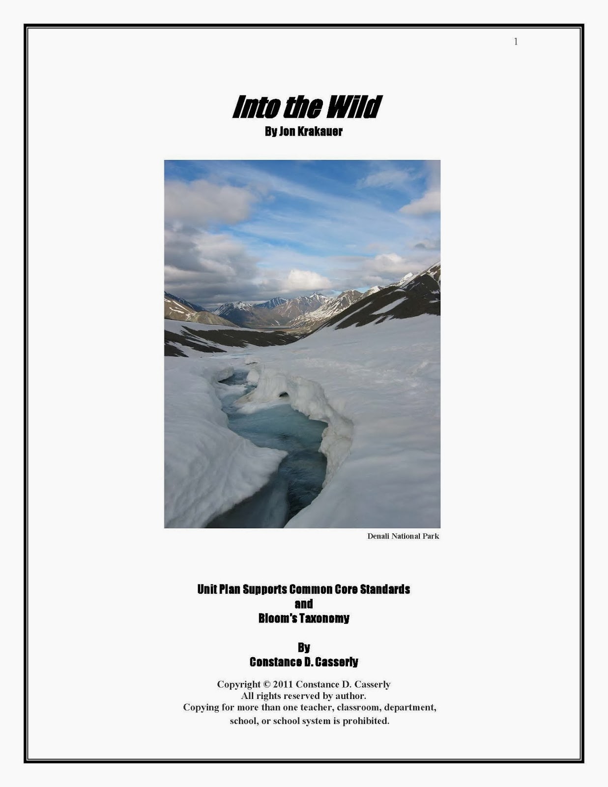 Into the wild essay questions