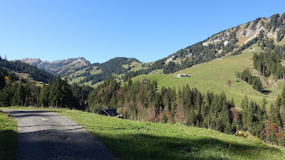 Am Glaubenbergpass, ca. 1100 m Am Glaubenbergpass, ca. 1100 m