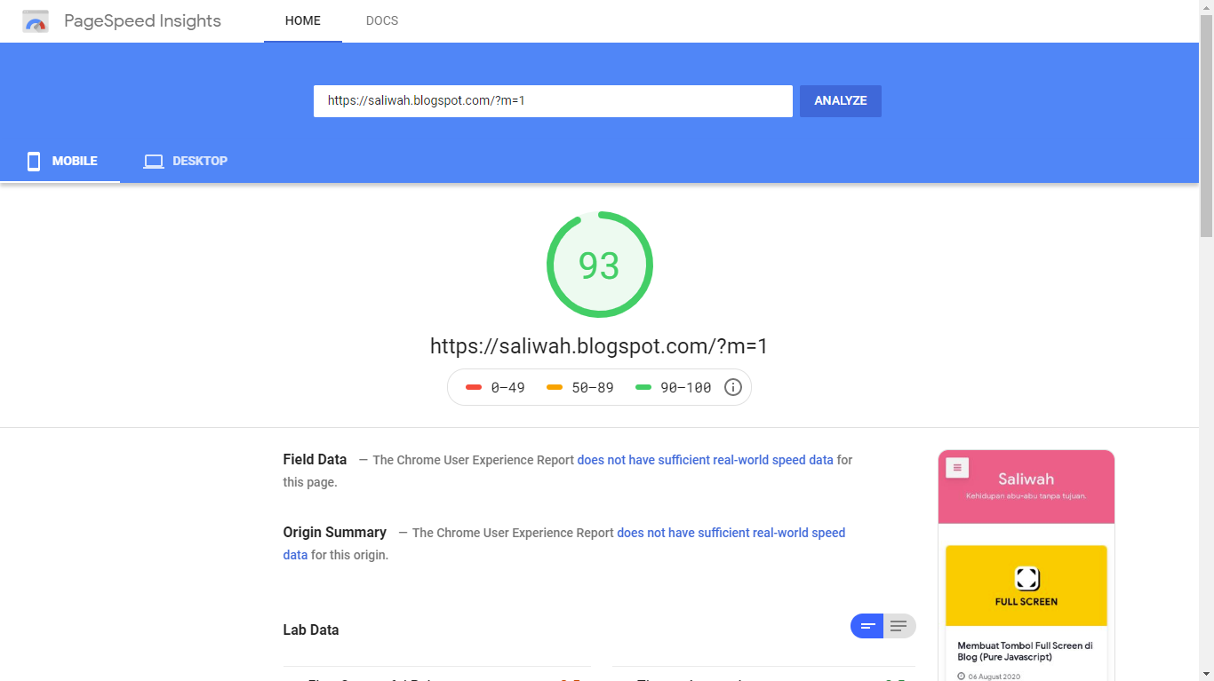 Hasil Pengecekan skor website di Google Pagespeed Insight versi Mobile