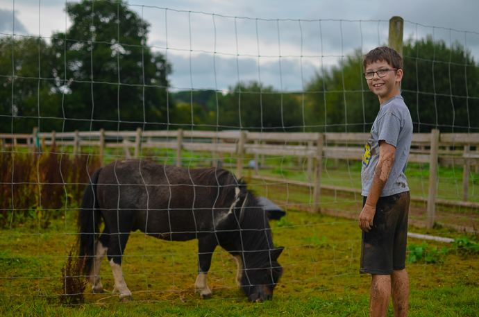 The Bear Trail, family assault course, Cullompton Devon