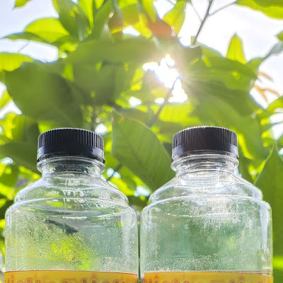 Madu Alam Apis Mellifera Murni MFA 500 Gram