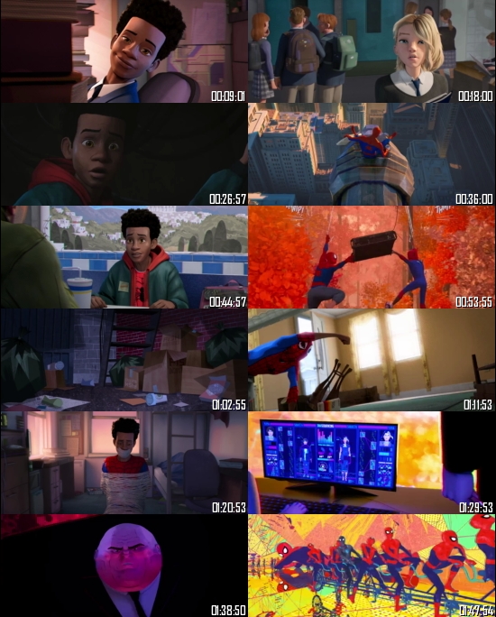 Spider-Man: Into the Spider-Verse 2018 BRRip 720p 480p Dual Audio Hindi English Full Movie Download