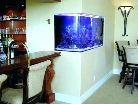 46 Desain Aquarium Cantik Dan Unik Anti Mainstream Rumahku Unik