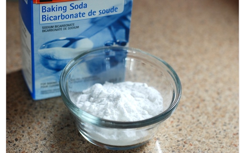 How to Get Rid of Cockroaches with Onions and Baking Soda Claraito's Blog