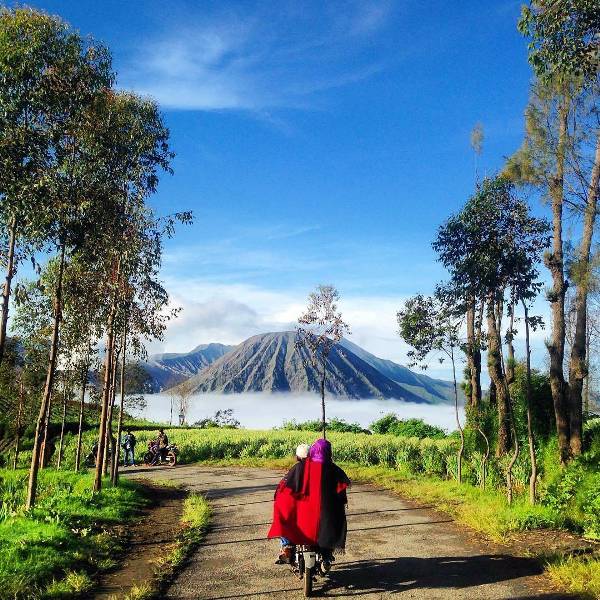 desa ngadas bromo