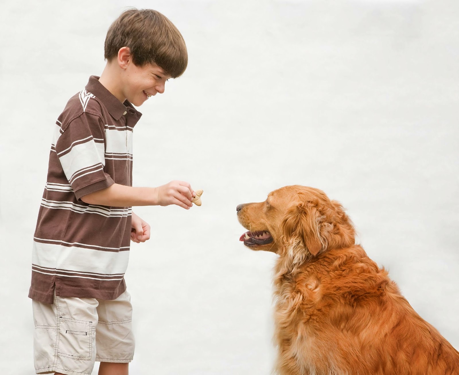 How to Love Your Dog Believe It or Not! LUV My dogs