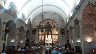 La cocina y ¿los animales...?