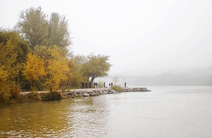 zaragoza otoño fotografía
